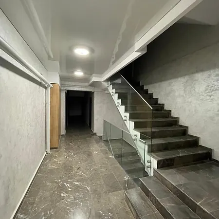 Lory Mamaia Nord Năvodari